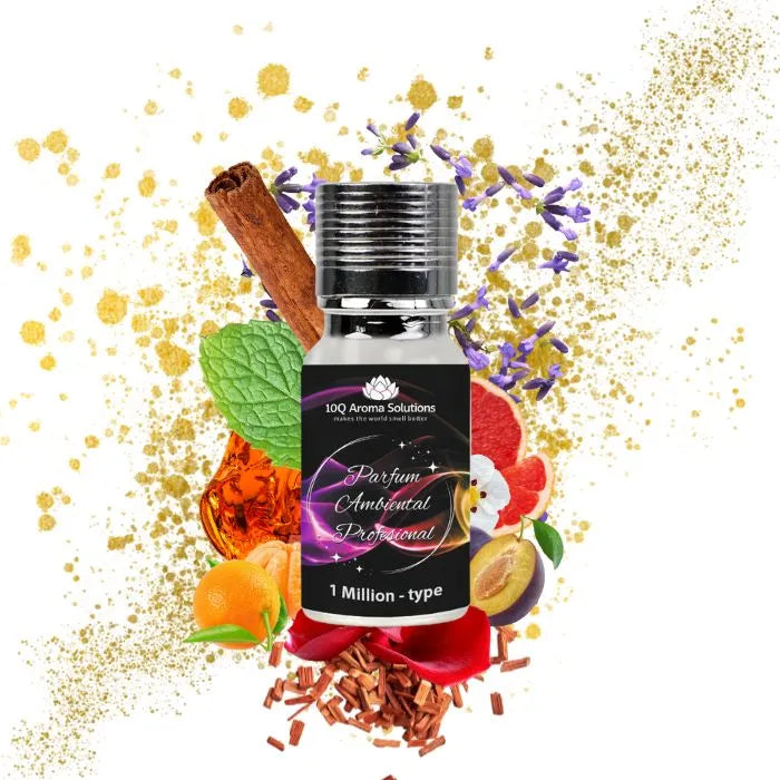 Pachet Premium Parfum Auto: „1 Million” 10 g + „Coconut” 10 g + Aparat Profesional de Parfumare Auto Premium