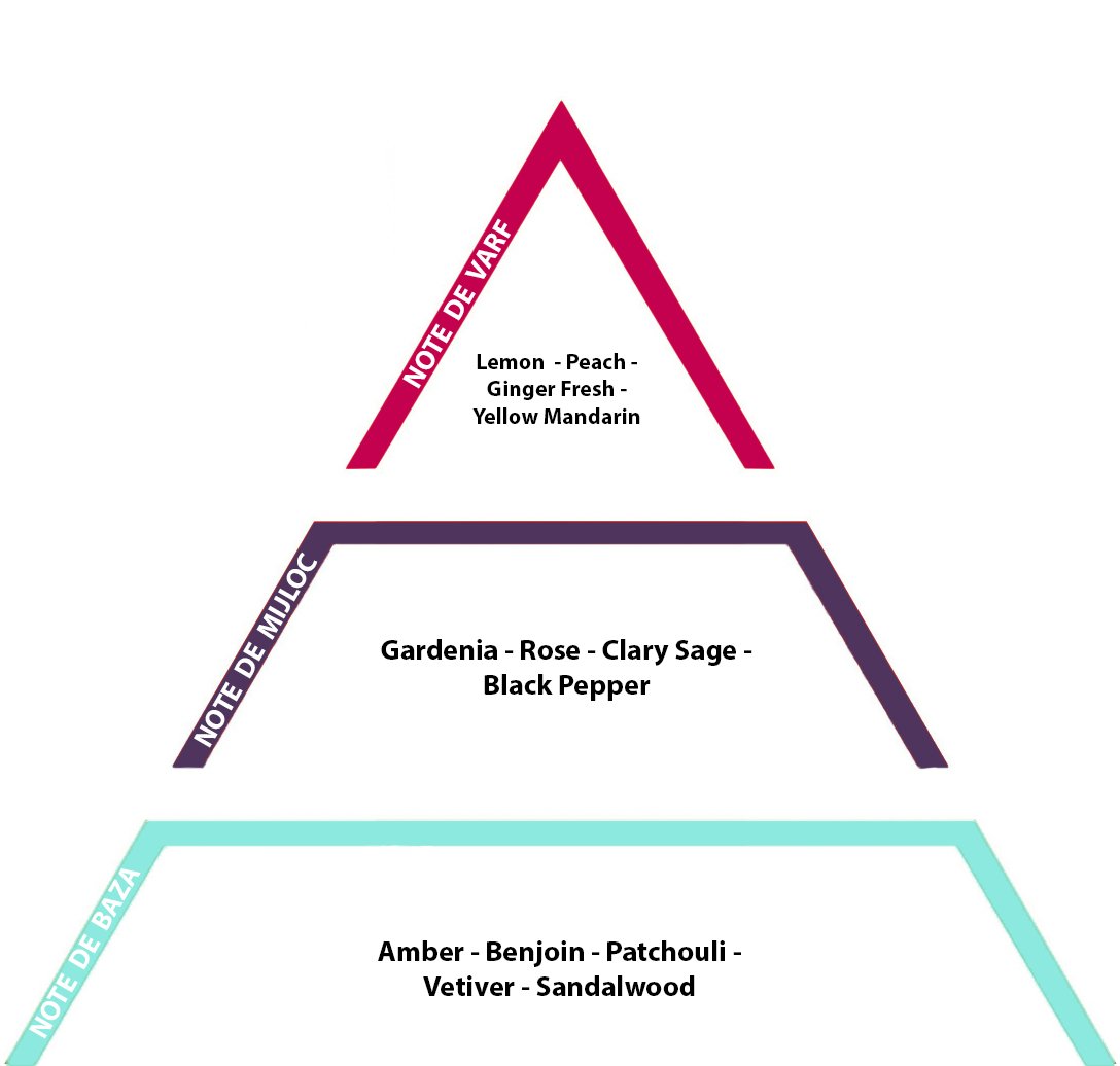 Allure, 10gr - Inspired from Chanel