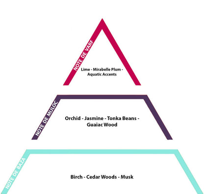 Black Orchid, 10gr - Inspired From Tom Ford