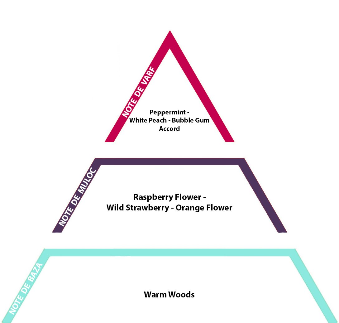 Bubble Gum 10gr - inspirat de Hubba Bubba