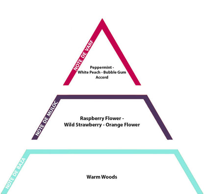 Bubble Gum 10gr - inspirat de Hubba Bubba