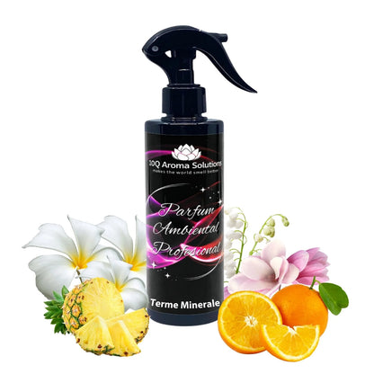 Terme Minerale - Spray Odorizant Profesional